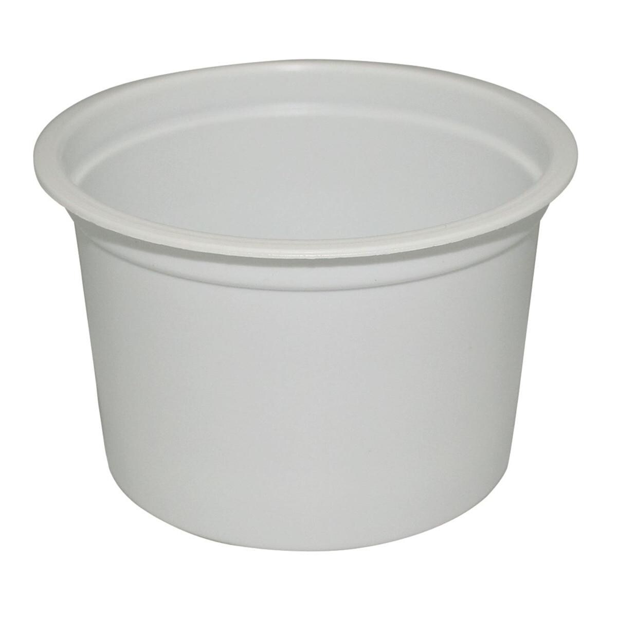 Denture Container 250ml 100pk